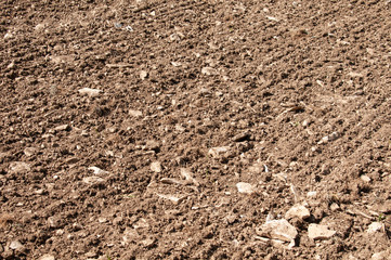 seeding lines in stony field in swabian alb