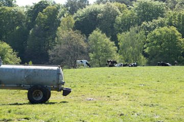 water trailer for cattles on a pasture