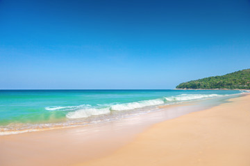 Fototapeta premium Beach
