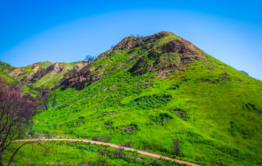 Malibu Creek State Park in the Santa Monica Mountains in spring 2019