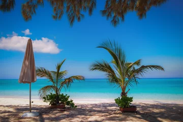 Papier Peint photo Plage de Seven Mile, Grand Cayman Small palm trees in pots and a close white parasol on a empty Seven Mile Beach during confinement, Cayman Islands