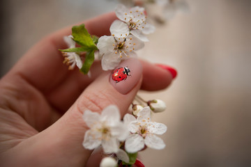 ladybug manicure in spring colors © Svetlana