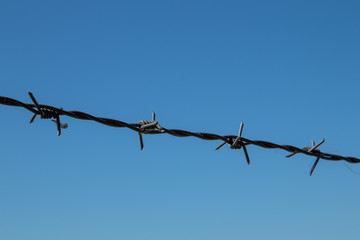 Tense barbed wire against a blue sky