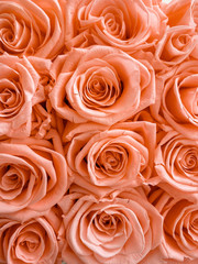 Close Up von Rosen Bouquet 