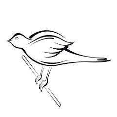 silhouette black bird on the white background