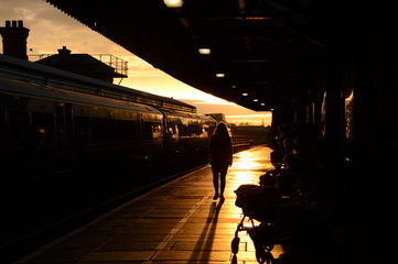 shadow rail