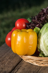 Fresh vegetables on wooden table. Market vegetable, garden.Diet concept. Healthy organic vegetarian food.