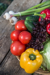Fresh vegetables on wooden table. Market vegetable, garden.Diet concept. Healthy organic vegetarian food.