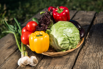 Fresh vegetables on wooden table.  Market vegetable, garden.Diet concept. Healthy organic vegetarian food. 