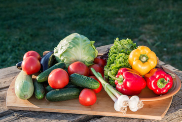 Fresh vegetables on wooden table.  Market vegetable, garden.Diet concept. Healthy organic vegetarian food. 