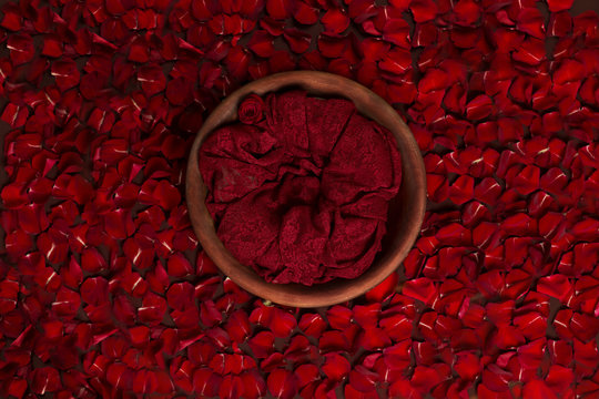 basket made of wood decorated with rose petals. basket for newborn photo sessions. red rose. background texture