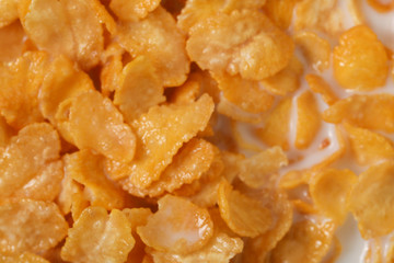 corn flakes meal healthy fresh cereal in a bowl