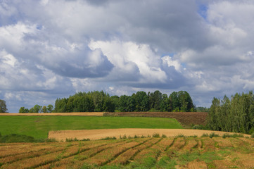 Pattern of harvested agricultural fields in the hills surrounded by trees on a warm late summer afternoon in Latvia