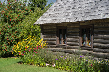 Old log house with wood chip roof surrounded by blooming flower bed with yellow flowers reflecting in the window and colorful rowan tree in the background on sunny summer day
