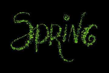 Spring word lettering done in green leaves on a black background. Part of a calendar series