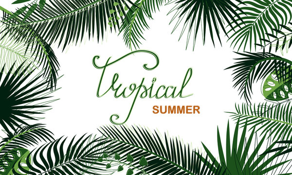 Frame of tropical foliage. Border with palm branches, leaves, monstera, green exotic grass. Rainforest concept, banner. Hand drawn lettering. Text Tropical summer. Floral background, web design, ad