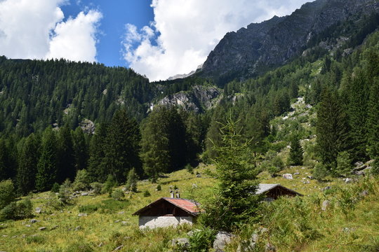 Alpine Hut in Adamello Brenta Natural Park at the Italian Alps