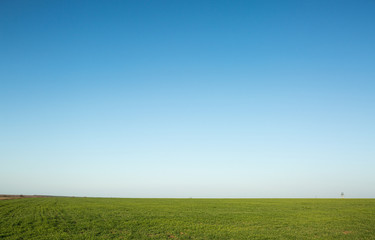 Spring field with cloudless blue sky.
