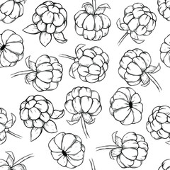 seamless pattern cloudberry hand drawn vector illustration. Sketch style drawing isolated on white background with leaf. Organic vegetarian object for menu, label, recipe, product packaging