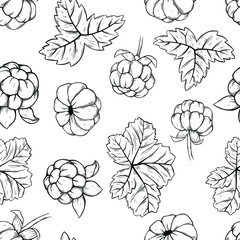 seamless pattern cloudberry hand drawn vector illustration. Sketch style drawing isolated on white background with leaf. Organic vegetarian object for menu, label, recipe, product packaging