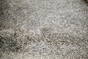 Lisbon floor mosaic