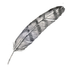 Light, airy, weightless bird feather. Black pencil hand drawn illustration
