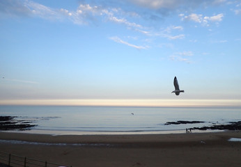 Fototapeta na wymiar Broadstairs seascape at sunset with seagulls