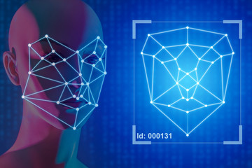 Biometric identification of people and assigning them numbers. Getting control points from the face. The use of biometric information for identification of citizens. Virtual image of a person.