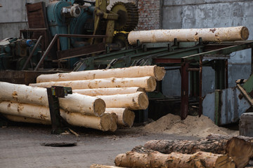 Bark removal from large logs on sawmill. Preparation of the wooden logs to sawing on a cutting line on a saw mill. Lumber industry. A pile of logs lie on a platform. Processing of timber at the