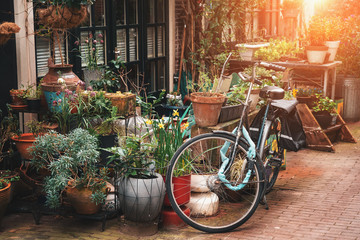 Fototapeta na wymiar Amsterdam narrow street with building exterior decorated by green plants and flowers with old vintage bike.