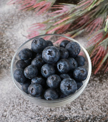 blueberries in a bowl