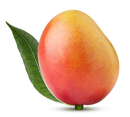 Mango exotic friut with leaf