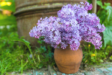 Bouquet of lilac flowers in a ceramic vase, in garden.