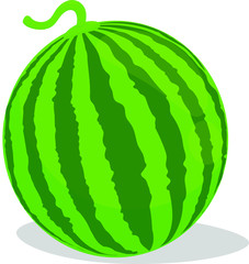 watermelon isolated on white background