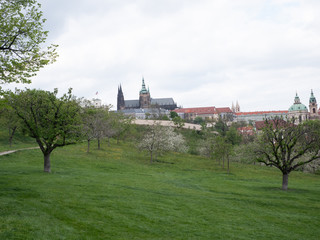 
view of the old prague and Prague castle and the temple of st. vitus in spring in rainy weather