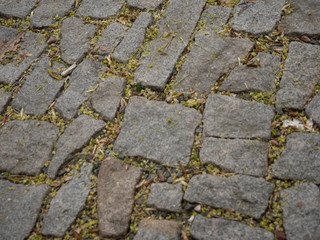 
texture of an old sidewalk in Prague in spring 2020