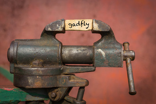 Vice grip tool squeezing a plank with the word gadfly