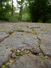 
texture of an old sidewalk in Prague in spring 2020
