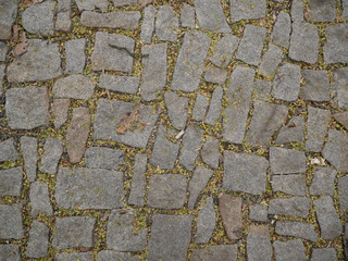 
texture of an old sidewalk in Prague in spring 2020