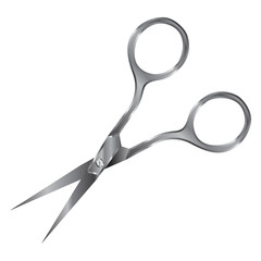 silver hairdresser scissors in color