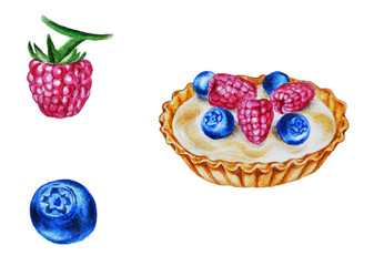 Shortcake with cream and berries (raspberries, blueberries). Watercolor illustration on an isolated white background.