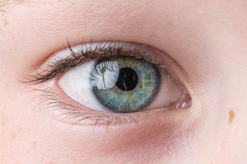 Fototapeta premium Kids eye close up