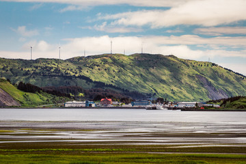 Kodiak across Women's Bay