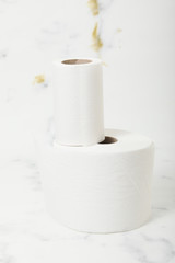 toilet paper fresh hygienic isoleted object wc roll