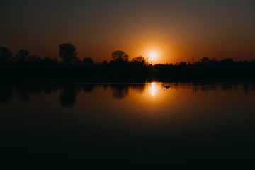 Obraz premium Sunset swan silhouette on lake reflection landscape