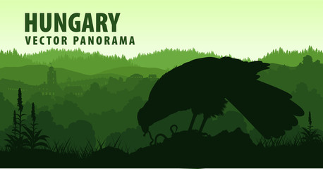 vector panorama of Hungary with turul eagle