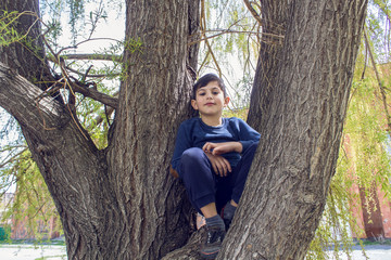 young boy sits on a tree