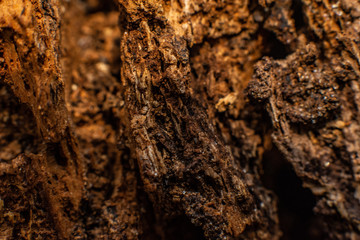 Macro Photography / Fotografia macro