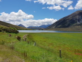 Landscape of the South Island of New Zealand. 