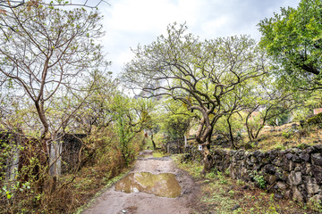 Nature pathway in Tepoztlan, Mexico